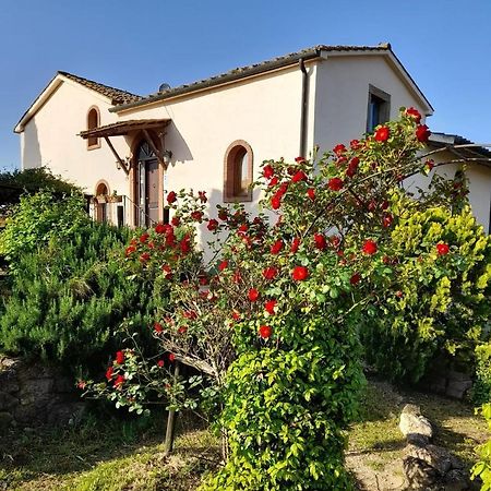 Borgo De' Muracci Ribolla Exterior photo