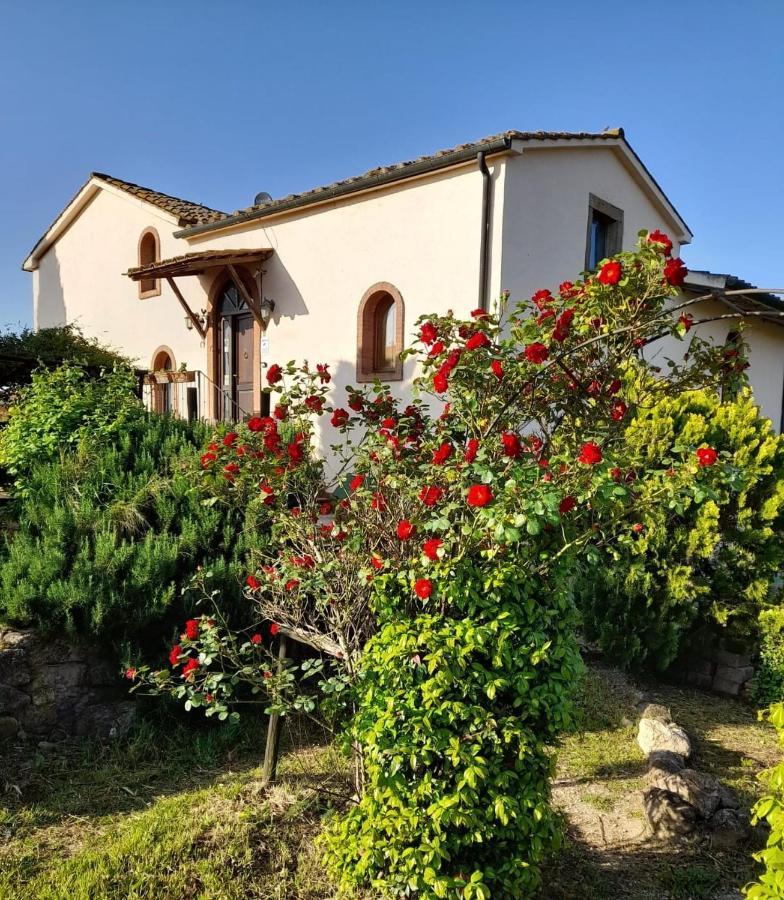 Borgo De' Muracci Ribolla Exterior photo