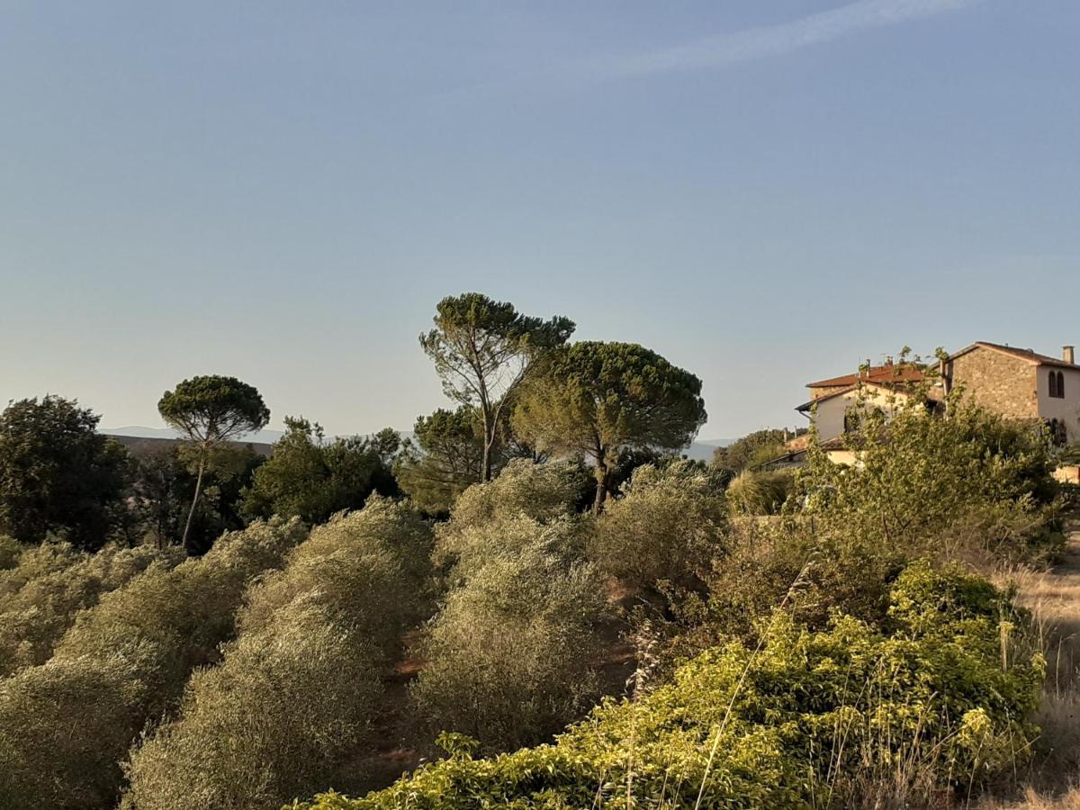 Borgo De' Muracci Ribolla Exterior photo