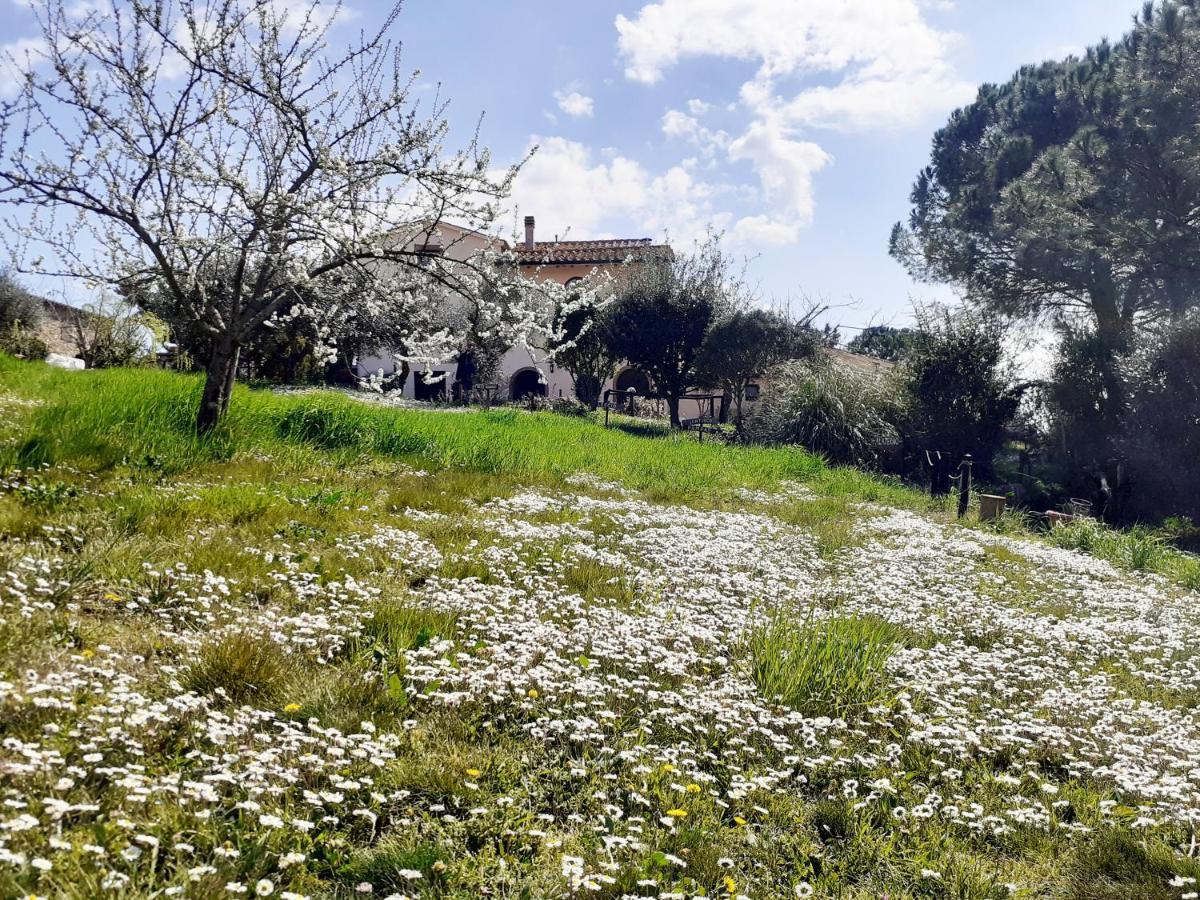 Borgo De' Muracci Ribolla Exterior photo