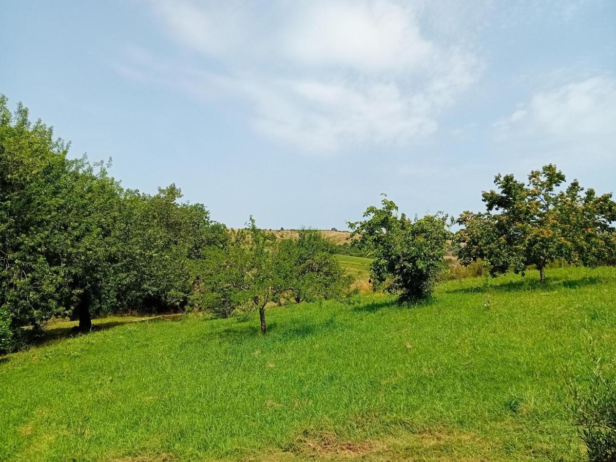 Borgo De' Muracci Ribolla Exterior photo