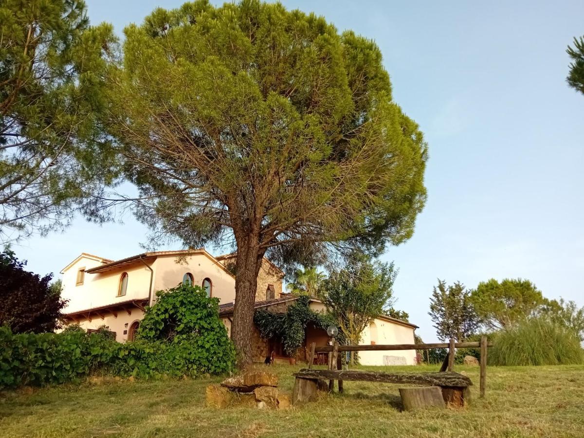 Borgo De' Muracci Ribolla Exterior photo