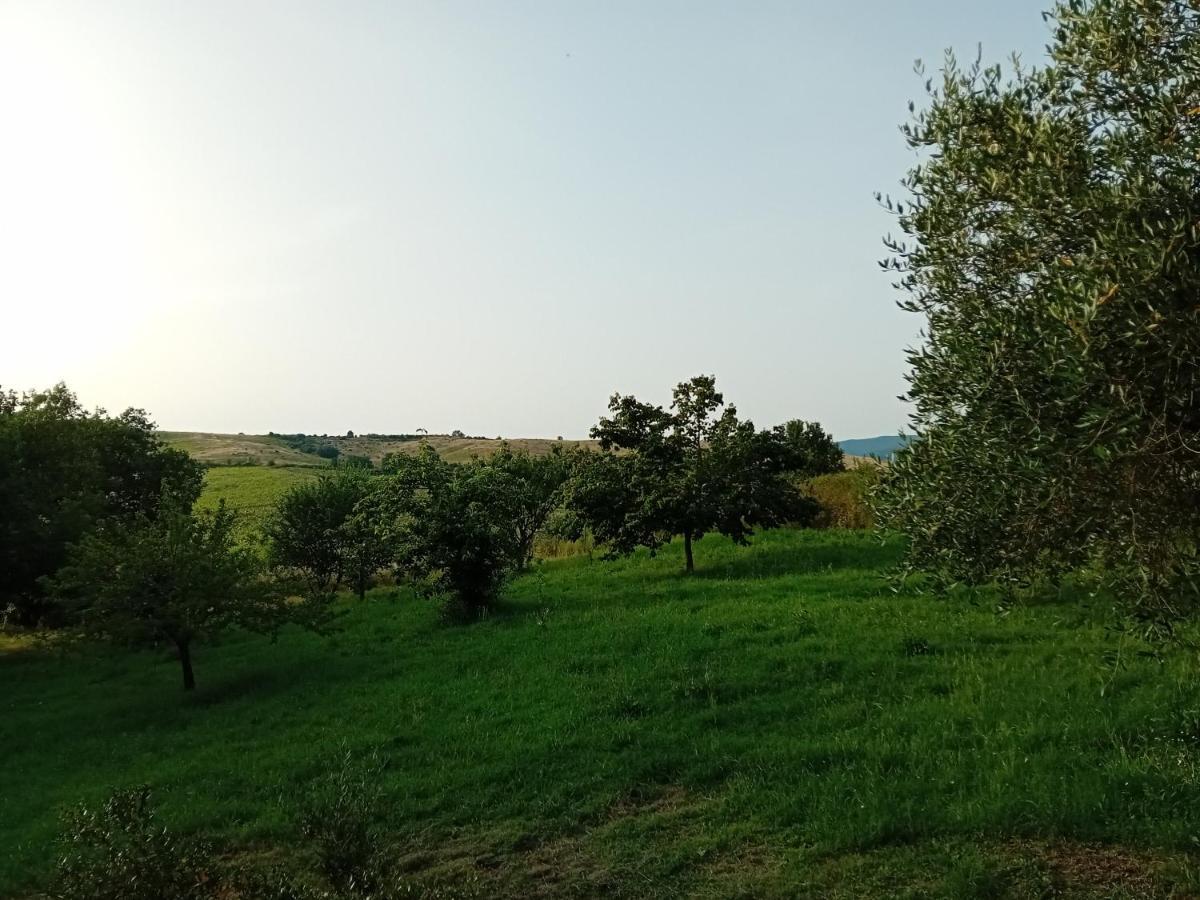 Borgo De' Muracci Ribolla Exterior photo