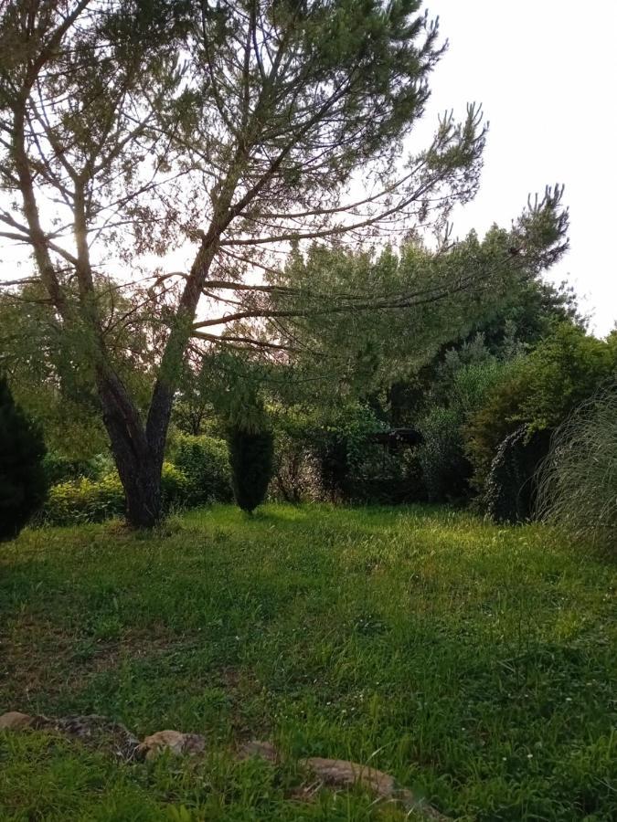 Borgo De' Muracci Ribolla Exterior photo